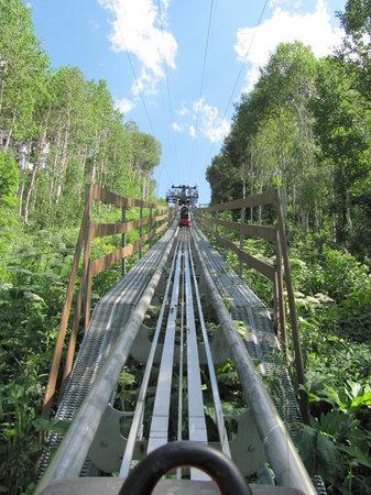 Alpine Coaster